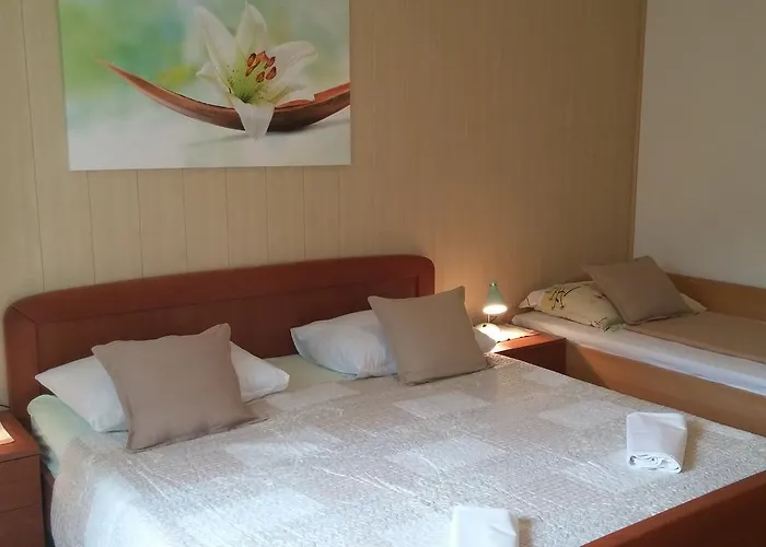 Family Ankica Цриквеница