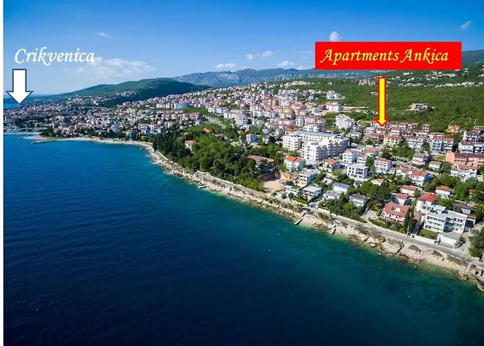 Family Ankica Цриквеница